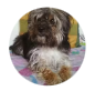 Profile photo for S***n