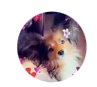 Profile photo for Y***a